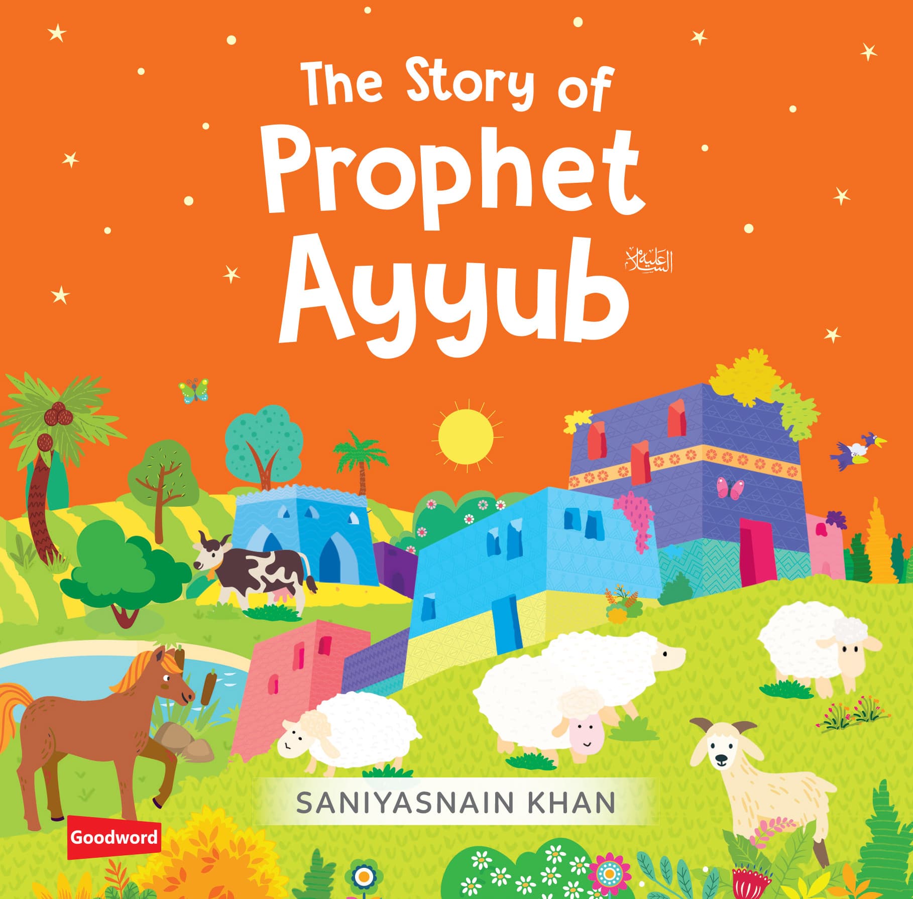 Board Book-The Story Of Ph Ayyub