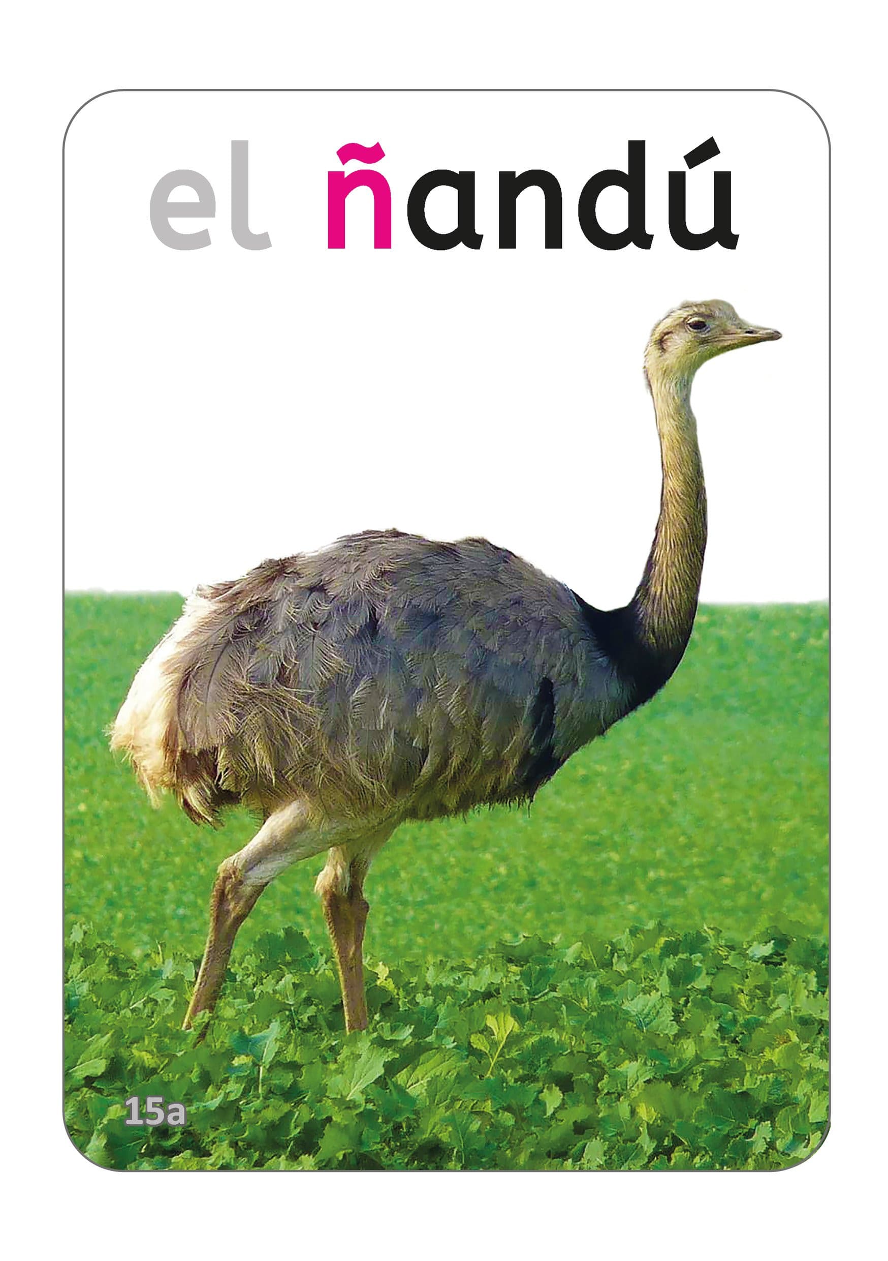 Spanish Alphabet - Write & Wipe Flash Cards — image 2