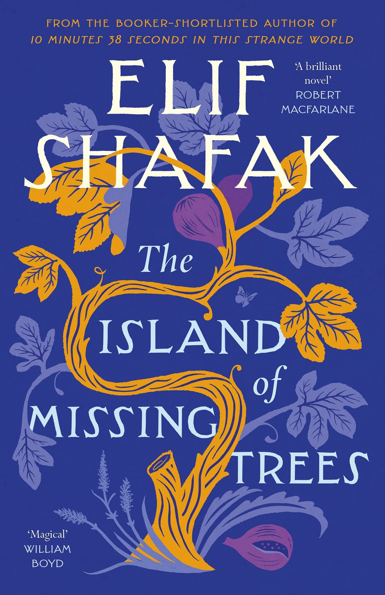 THE LAND OF MISSING TREE