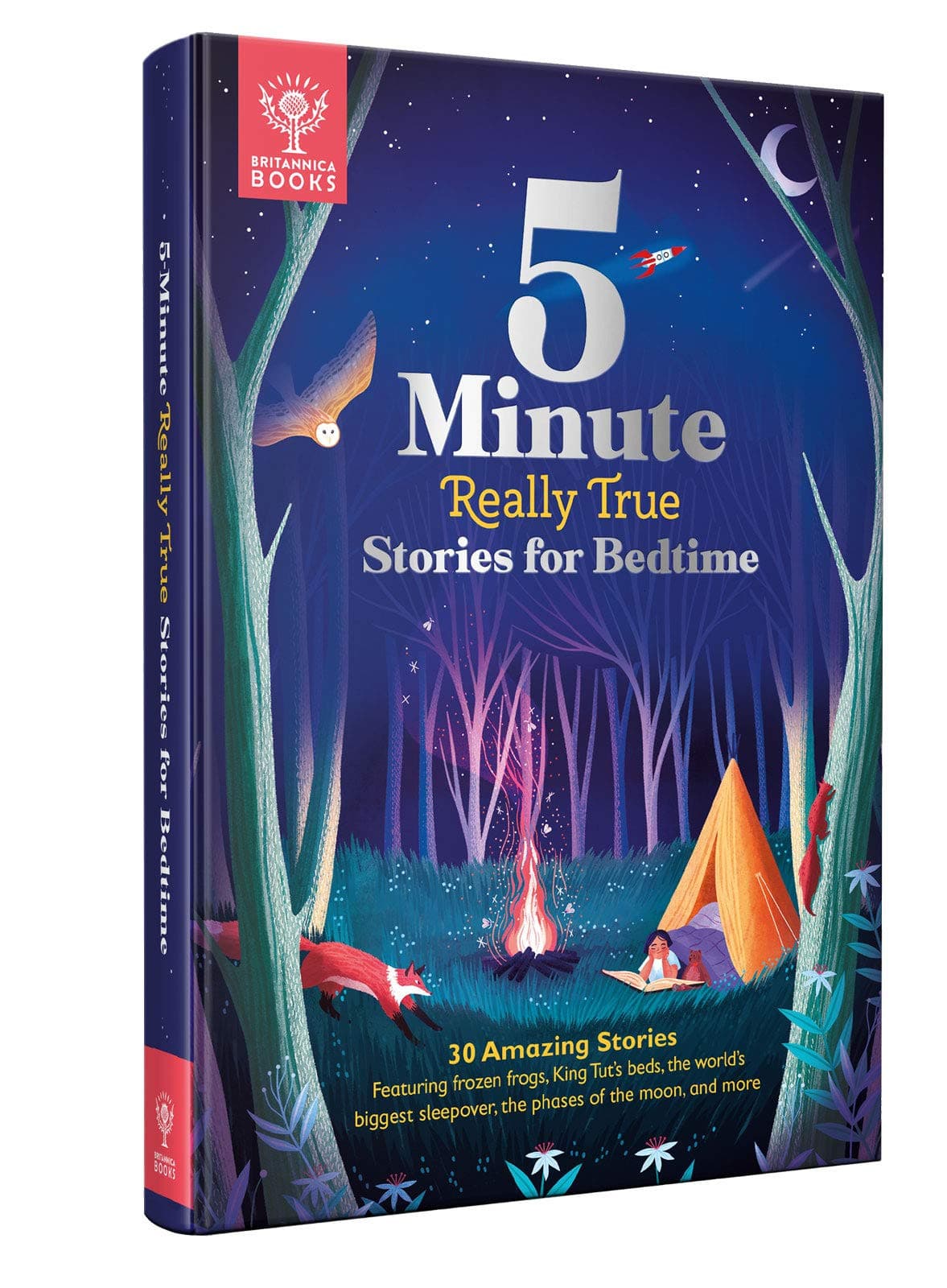 5 MINUTE REALLY TRUE STORIES FOR BEDTIME