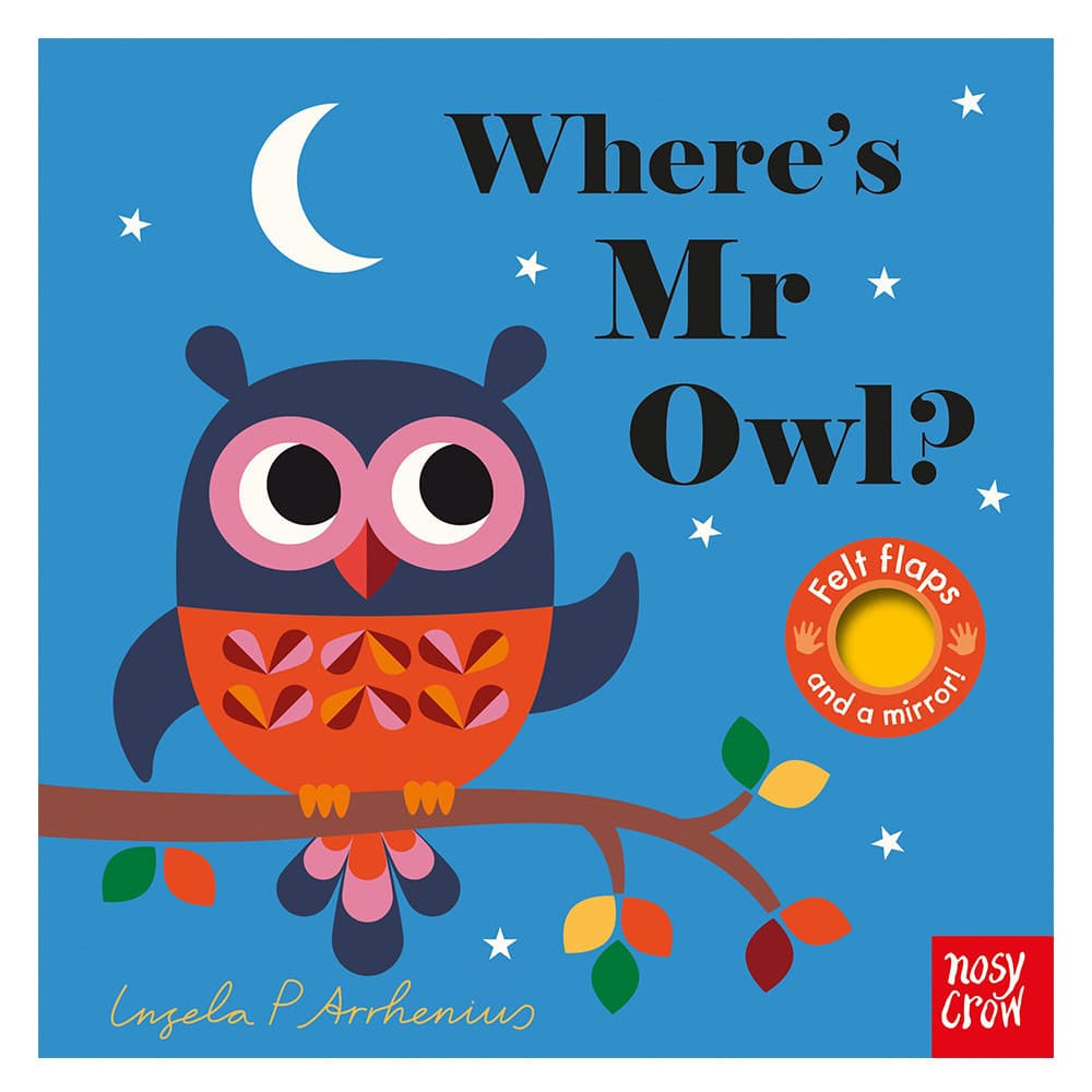 Felt Flaps: Where's Mr Owl?