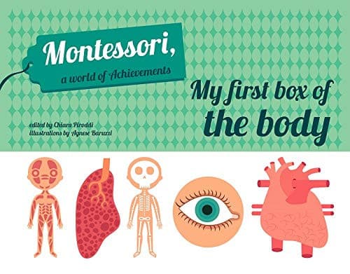 MY FIRST BOX OF THE HUMAN BODY