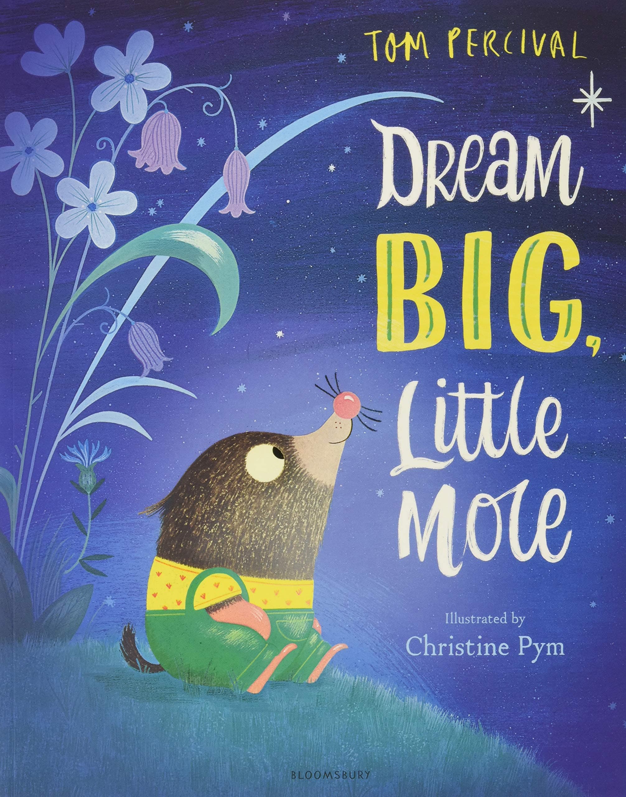 Dream Big, Little Mole