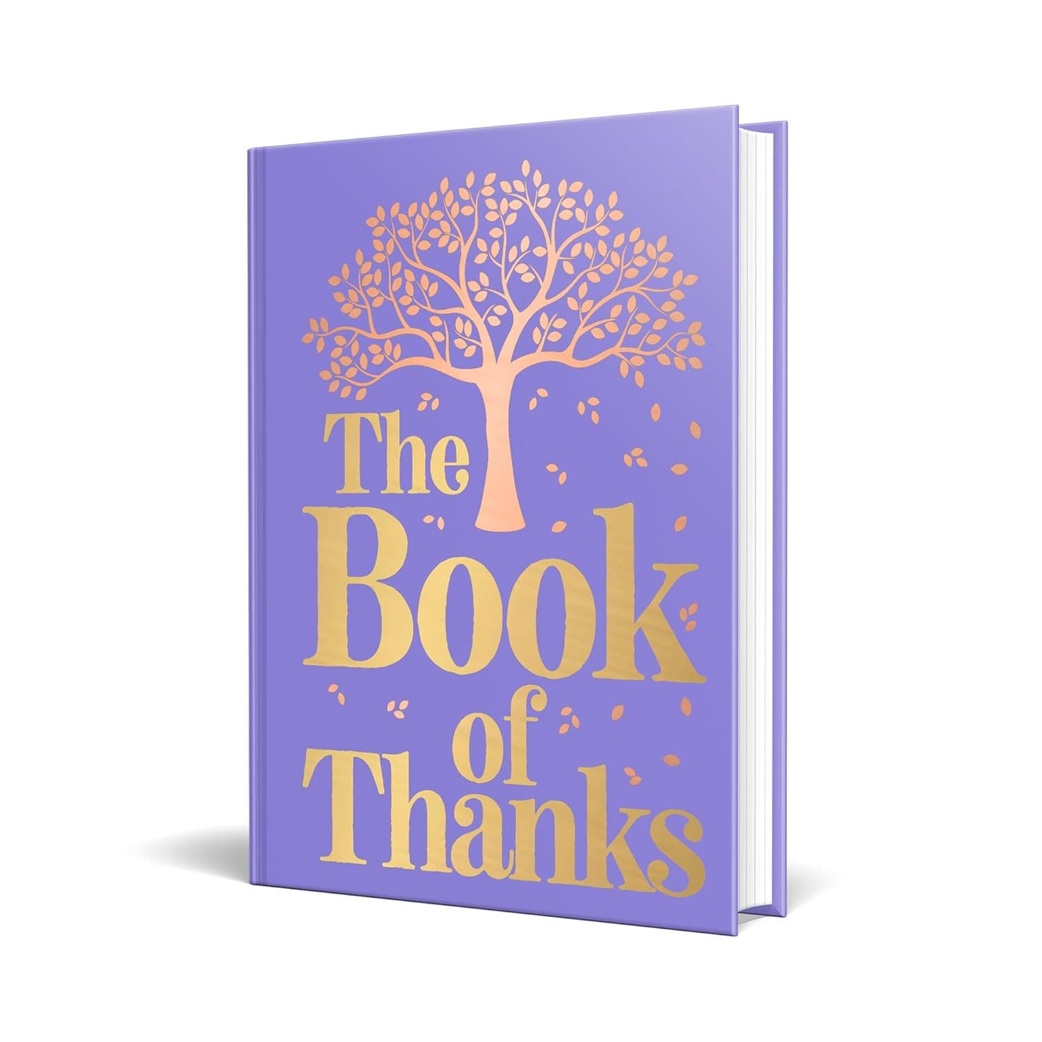 The Book Of Thanks
